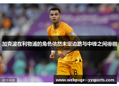 加克波在利物浦的角色依然未定边路与中锋之间徘徊